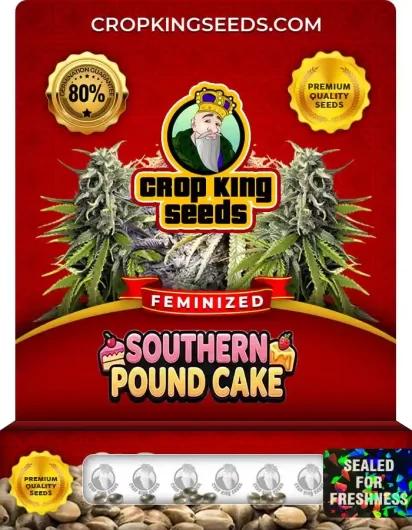 Southern Pound Cake Feminized
