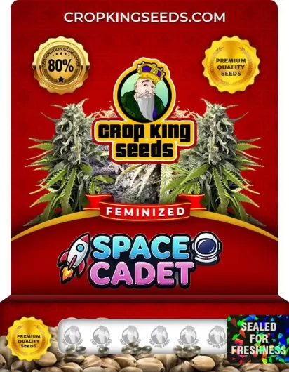 Space Cadet Feminized