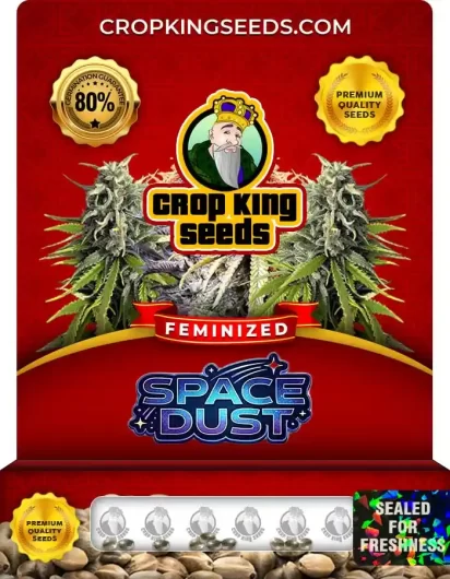 Space Dust Feminized