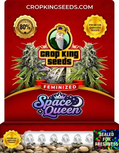 Space Queen Feminized