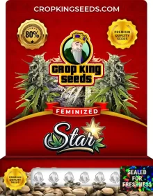 Star Feminized