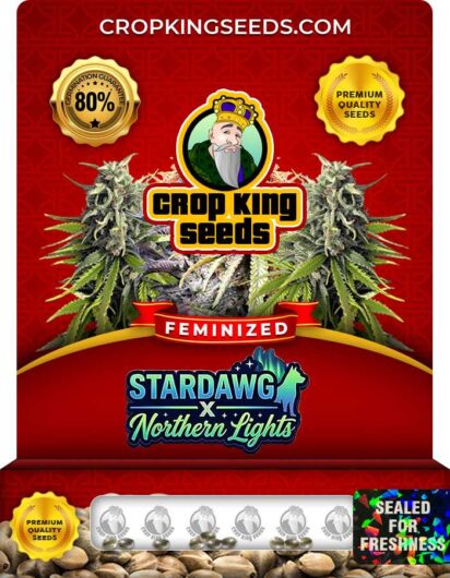 Stardawg X Northern Lights Feminized