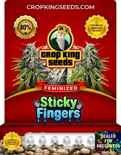 Sticky Fingers Feminized