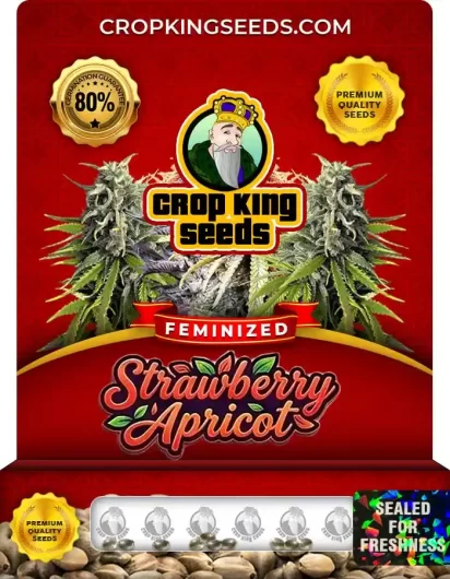 Strawberry Apricot Feminized