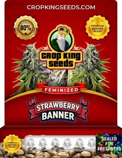 Strawberry Banner Feminized