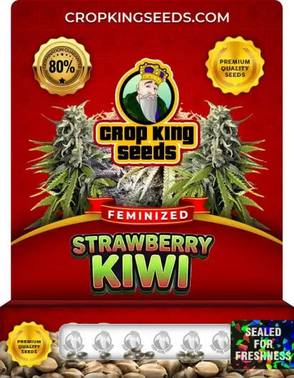 Strawberry Kiwi Feminized