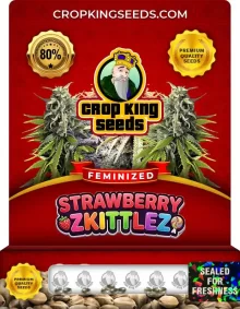 Strawberry Zkittlez Feminized