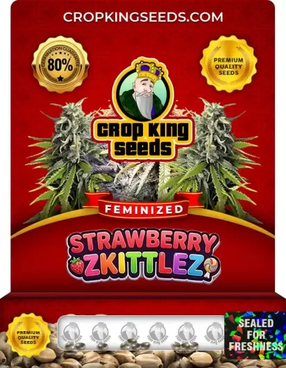 Strawberry Zkittlez Feminized