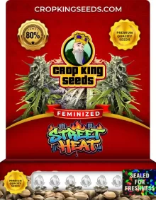 Street Heat Feminized