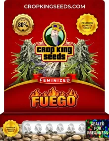 Fuego Feminized