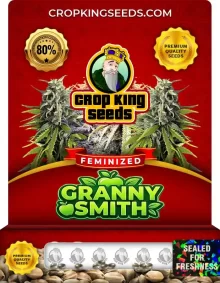 Granny Smith Feminized