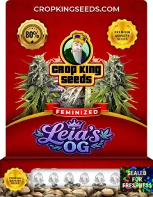 Leia's OG Feminized Seeds