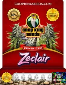 Zeclair Feminized