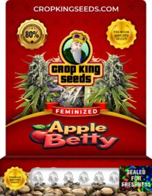 Apple Betty Strain
