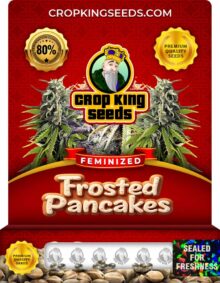 Frosted Pancakes Strain