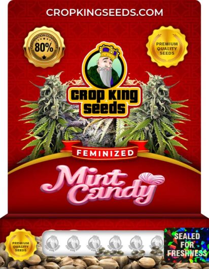 Mint Candy Strain