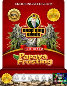Papaya Frosting Strain