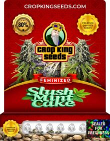 Slush Mint Cake Strain