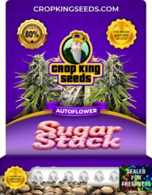 Sugar Stack Strain