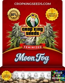 Moon Fog Indica Strain