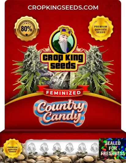 Country Candy Hybrid Strain