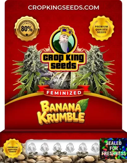 Banana Krumble Strain