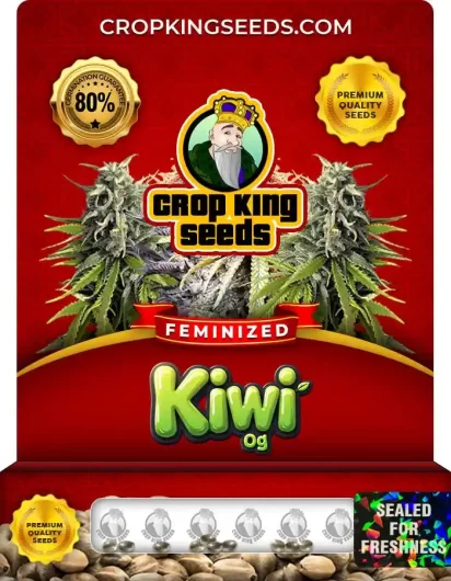 Kiwi OG Strain