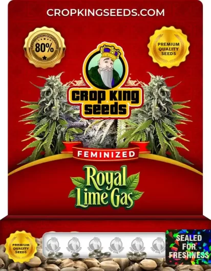 Royal Lime Gas Strain
