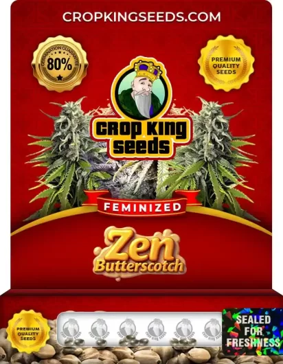 Zen Butterscotch Strain