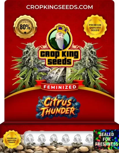 Citrus Thunder Strain