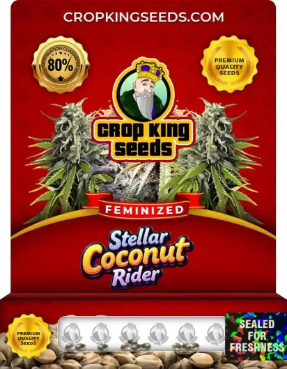 Stellar Coconut Rider Strain