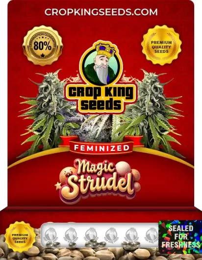 Magic Strudel Strain