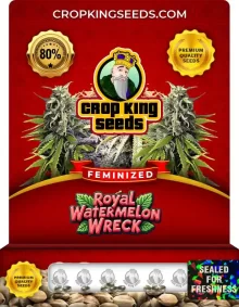 Royal Watermelon Wreck Strain