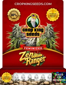 Zen Durian Ranger Strain