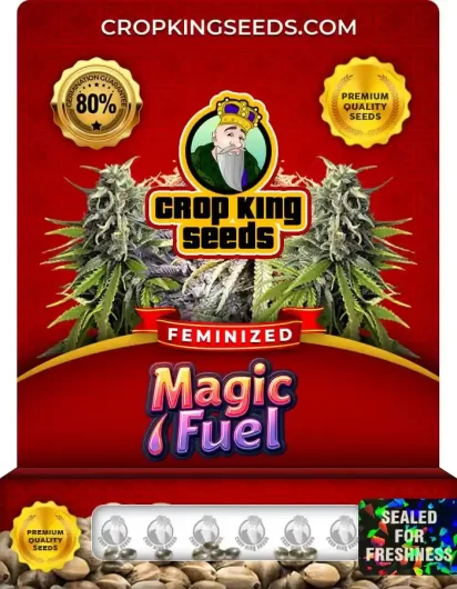 Magic Fuel Strain
