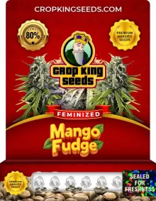 Mango Fudge Strain