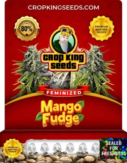 Mango Fudge Strain