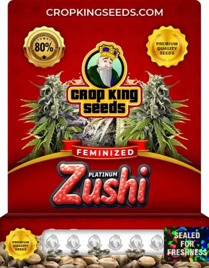 Platinum Zushi Strain