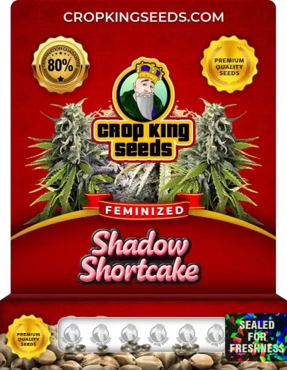 Shadow Shortcake Strain