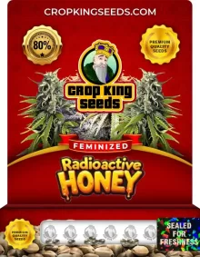 Radioactive Honey Strain