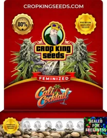 Cali Cocktail Strain