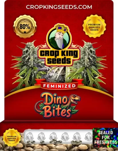 Dino Bites Strain