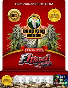 F1 Diesel Strain