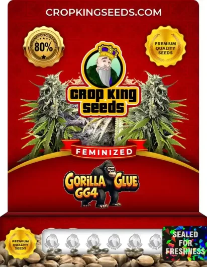 Gorilla Glue GG4 Strain