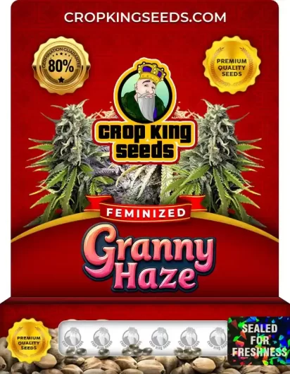 Granny Haze Strain