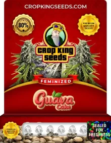 Guava Cake Strain