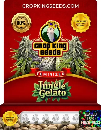 Jungle Gelato Strain