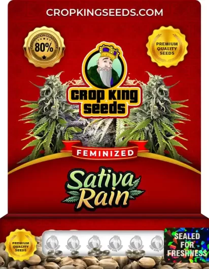 Sativa Rain Strain