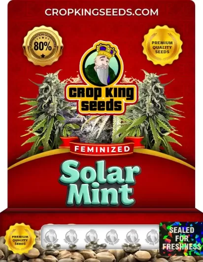 Solar Mint Strain