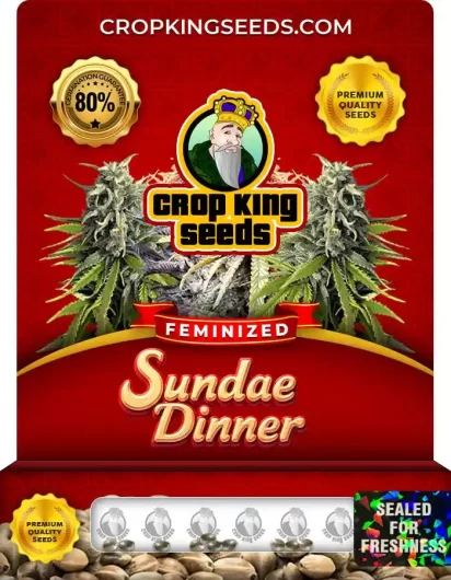 Sundae Dinner Strain